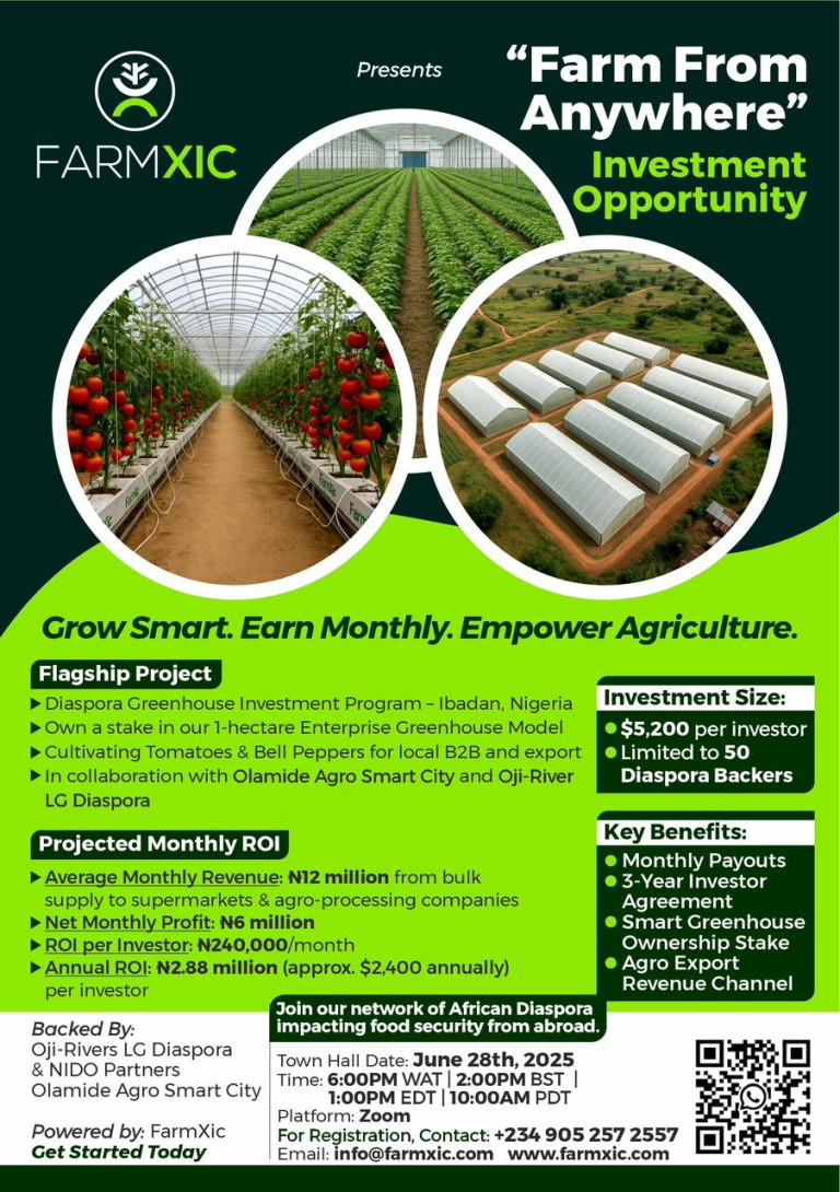 WhatsApp Image 2025 06 05 at 13.24.41 f0216fbf 1 768x1090